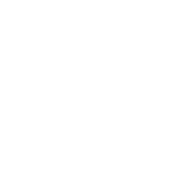 ocal working copy